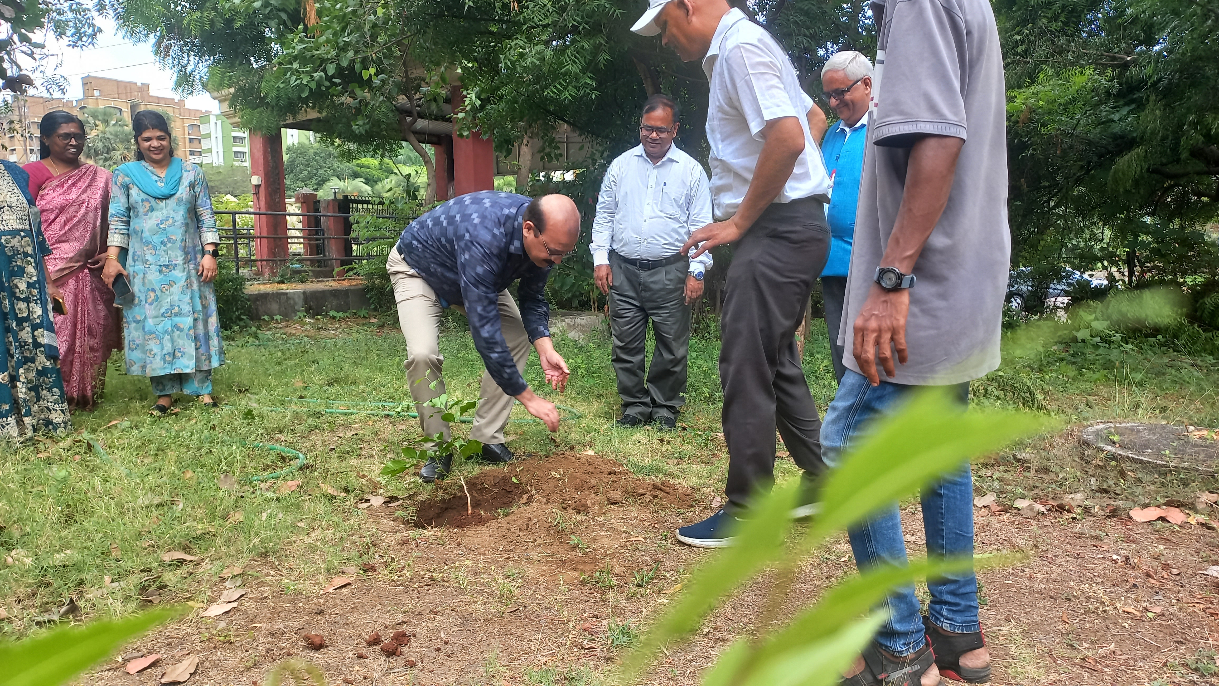 Environment Day